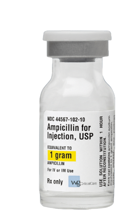 Ampicillin Sodium for injection 1gm Vial Lot 4A03AH Exp 12/31/2026  NDC 44567-102-10  WG Critical Care